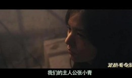 国产大黄片,传承与创新，中医药瑰宝的现代化之路