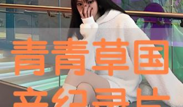 青青草国产片,国产青春电影中的绿色篇章