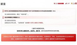 国产39页,揭秘我国科技发展的新篇章