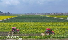 1024国产区,探索国产科技的魅力与未来