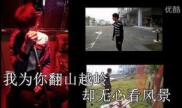 国产一级a爱视频,揭秘国产影视产业的独特魅力