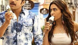 国产特A级毛片,匠心独运，毛绒绒的温暖触感