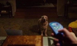 国产一级片儿,揭秘中国电影市场的独特魅力