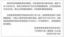 手机看片1024免费国产,揭秘热门影视资源一网打尽