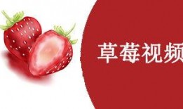 草莓视频国产,本土创新与全球视野的交融