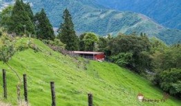 青青草国产线观