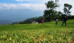 青青草国产线观