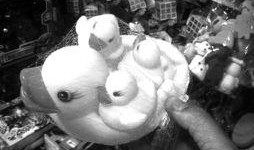 国产三级黄,揭秘我国影视产业的独特魅力