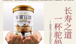 国产一级棒,匠心独运，品质卓越的国产之光